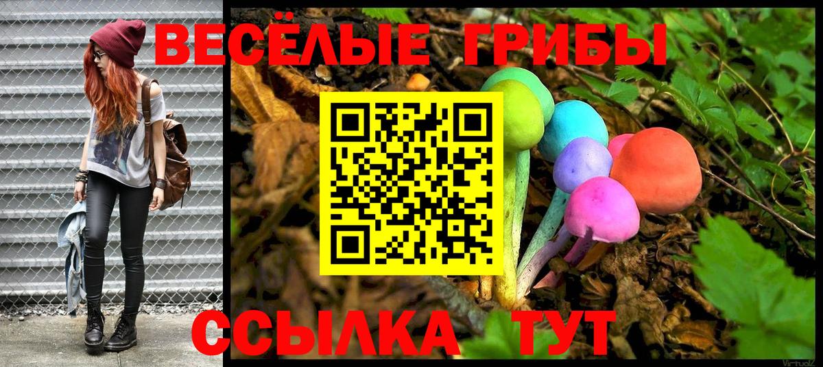 Гудермес  Галлюциногенные грибы MAGIC MUSHROOMS  Вход с VPN 
